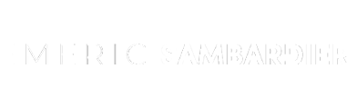 Logo White